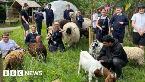 Manchester school shortlisted as one of the ‘world’s best’