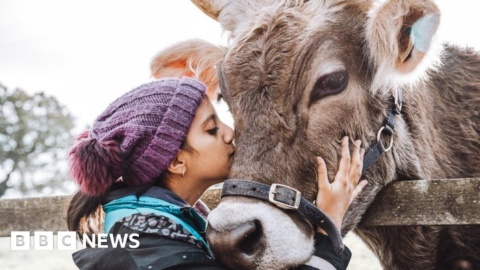 Hindu ceremony to celebrate cows and new year Hindu ceremony to celebrate cows and new year