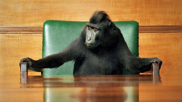 Should we engineer animals to be smart like humans? Should we engineer animals to be smart like humans?