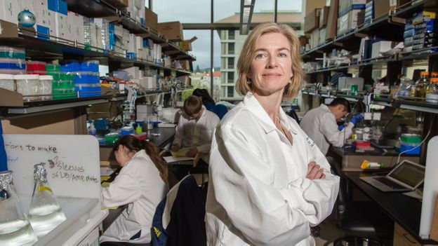 Why gene editing could create so many jobs Why gene editing could create so many jobs