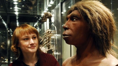 Here’s what we know sex with Neanderthals was like