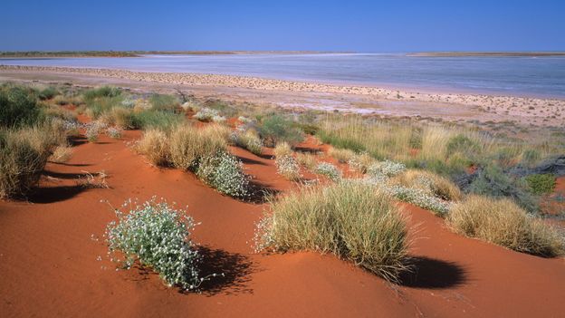 The indigenous keepers of the Outback’s secrets The indigenous keepers of the Outback’s secrets