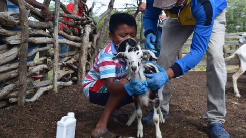 How scientists predict famine before it hits