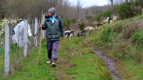 ‘My two favourite animals are sheep and wolves’. In Portugal’s Montesinho, shepherds peacefully coexist alongside wolves