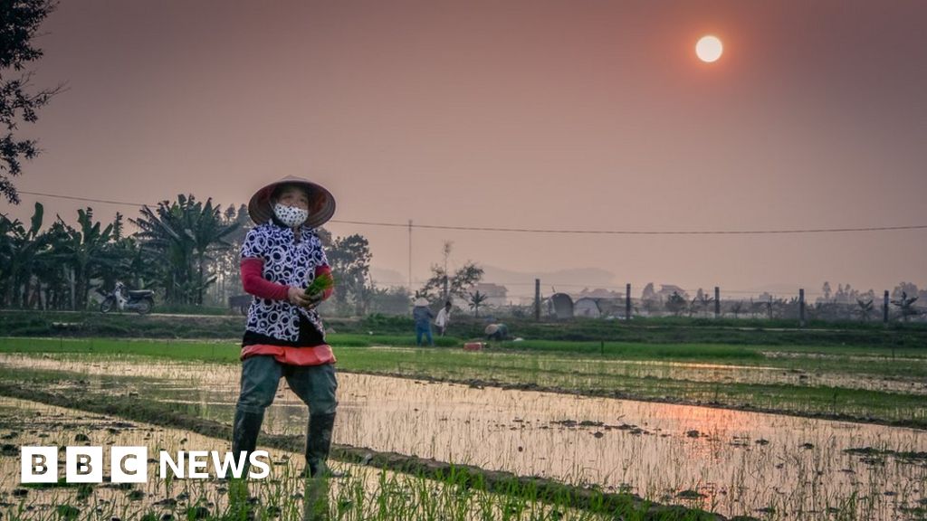 Making food crops that feed themselves Making food crops that feed themselves