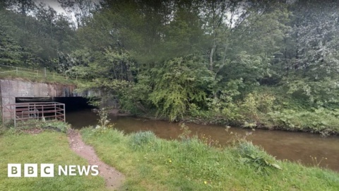 Snail removal led to pollution killing 3,000 fish in River Clywedog