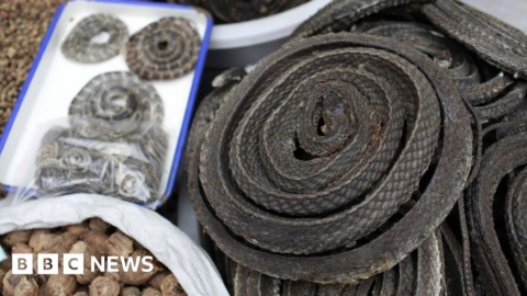 China wildlife trade ban ‘should be permanent’