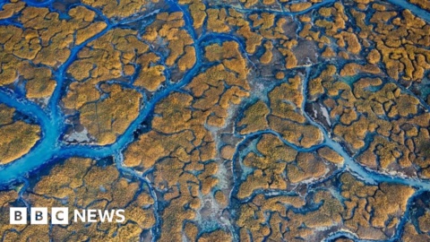 Protect our ocean ‘to solve challenges of century’