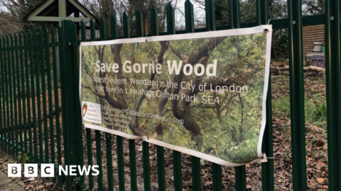 Brockley residents raise over £100K to save ancient woodland