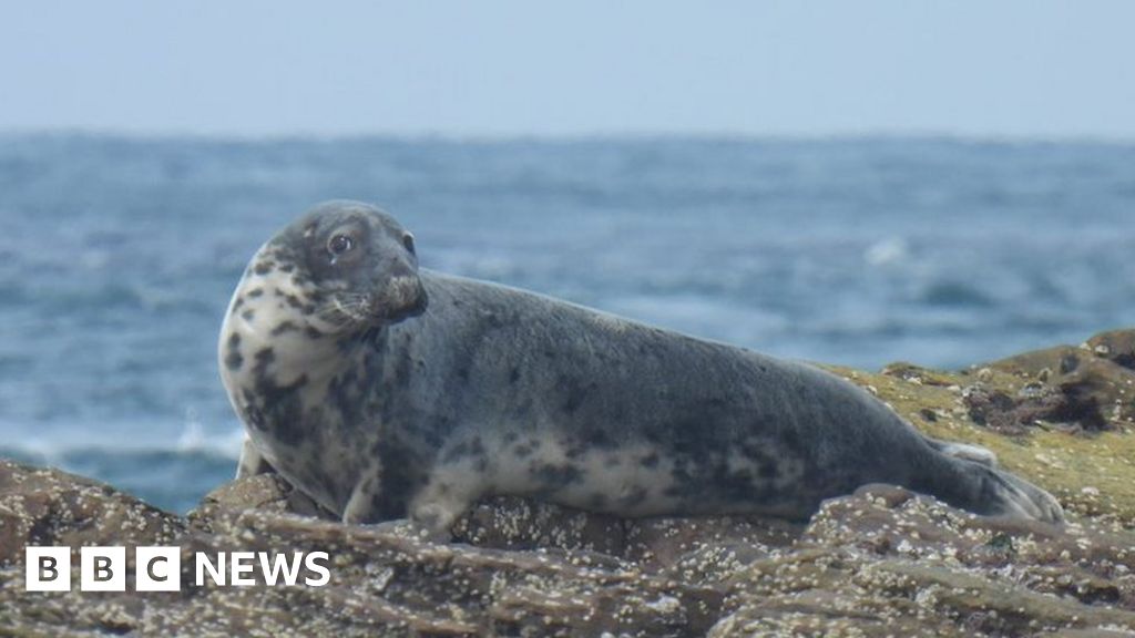 Events to be held in Alderney and Herm Events to be held in Alderney and Herm