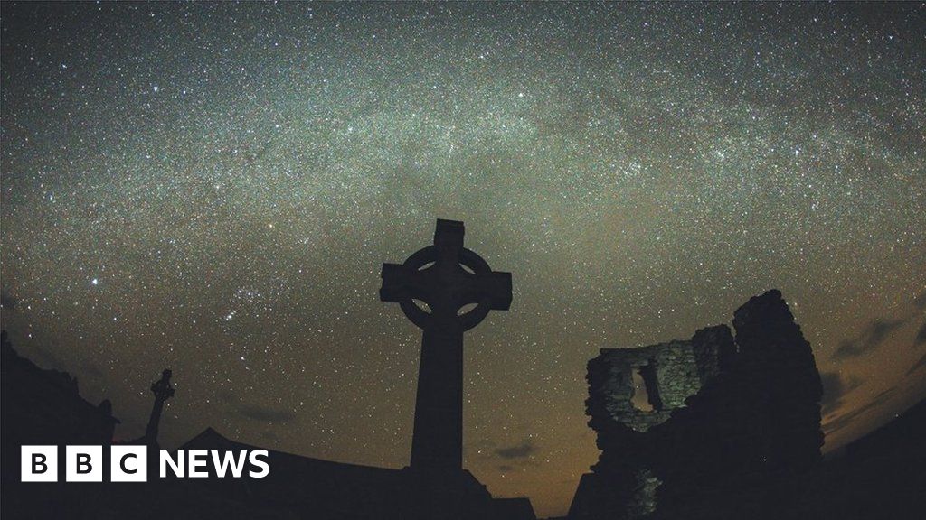 Welsh island is first sanctuary in Europe Welsh island is first sanctuary in Europe