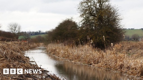 Grantham Canal reed clearance project gets £27,000 grant