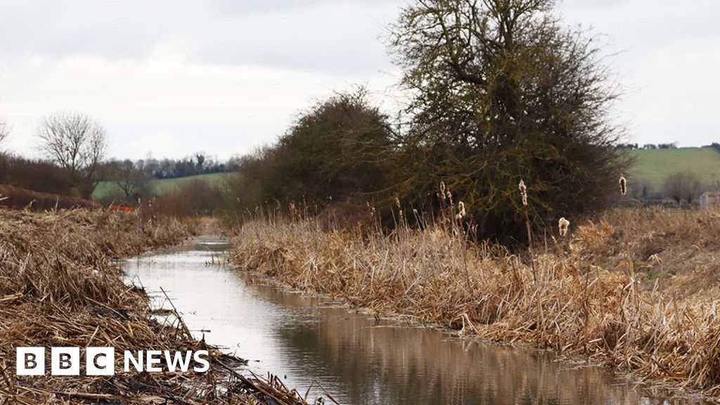 Grantham Canal reed clearance project gets £27,000 grant Grantham Canal reed clearance project gets £27,000 grant