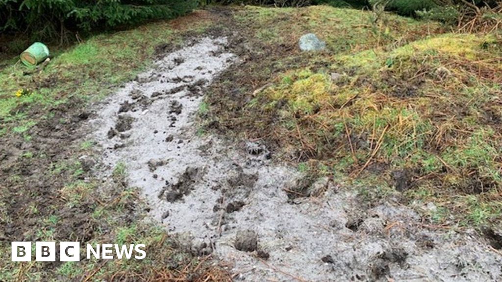 Probe into sewage pollution incidents in Bute Probe into sewage pollution incidents in Bute