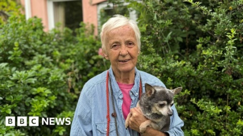 Tributes to woman who ran Suffolk and Essex animal sanctuary