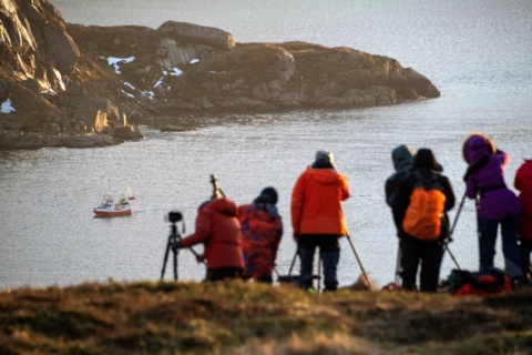 Best short courses in Norway taught in English