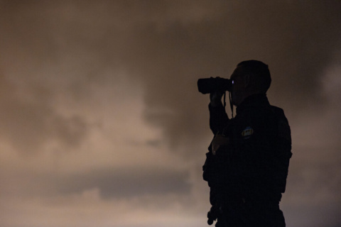 10 best degrees for the future that aren’t AI-related