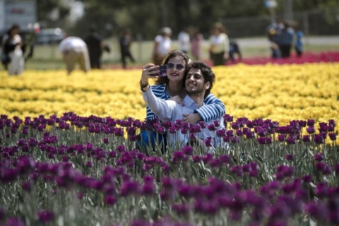 15 best countries in the world for international students