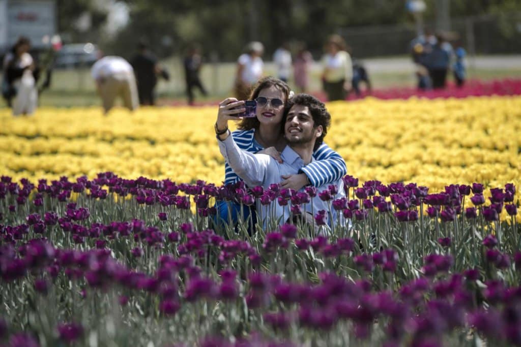 15 best countries in the world for international students