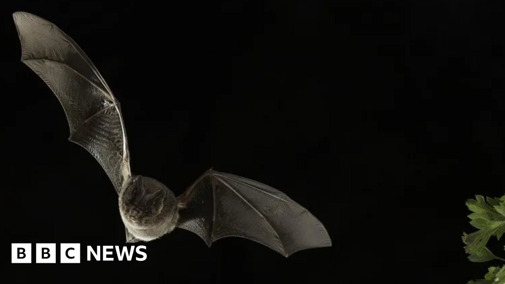 Claim Government advisors ‘rushed out’ new rules to halt road