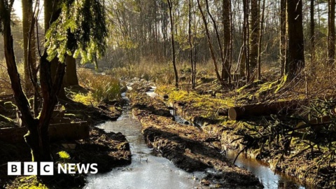 North York Moors: Off-roaders damage prehistoric site