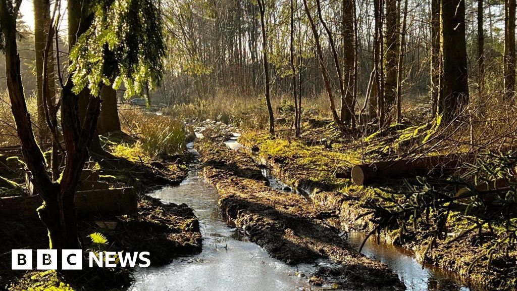North York Moors: Off-roaders damage prehistoric site