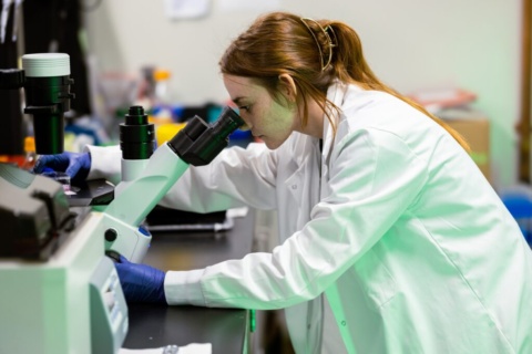 Optical science’s most impactful PhDs