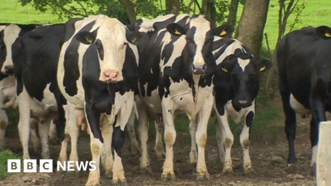 Brexit farming fund ‘income support for super rich’