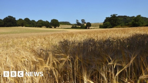 Huge knowledge gap over health of soil