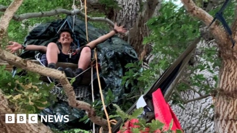 Protesters occupy threatened A303 oak tree