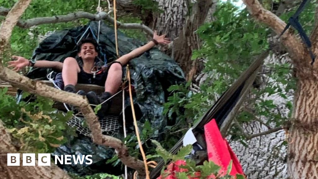 Protesters occupy threatened A303 oak tree Protesters occupy threatened A303 oak tree