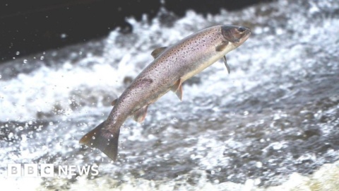 Fife farmers banned from using River Eden