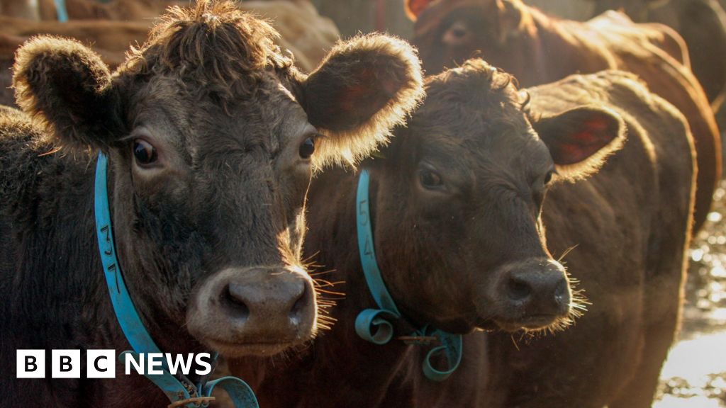Green farming budget freeze ‘will hit nature and wildlife work’ Green farming budget freeze ‘will hit nature and wildlife work’