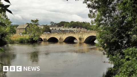 Access to be reduced unless tree can be felled