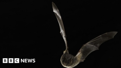 Norfolk County Council withdraws plans for Norwich Western Link