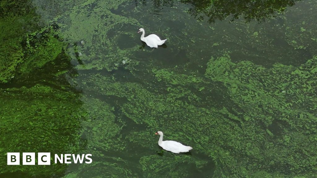 Plight of loughs and rivers dominates environment news