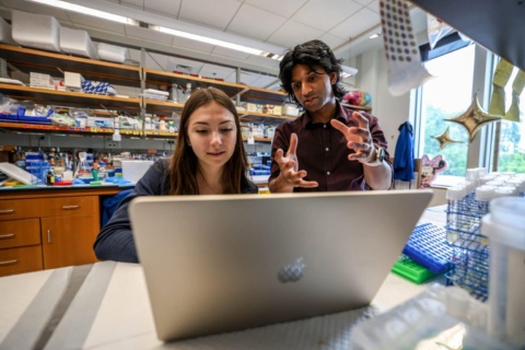 4 pioneering and passionate biomedical engineering schools