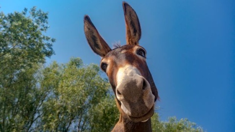 Eight ways to stay happier this year, according to science