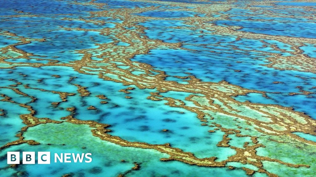 Australia to fund Great Barrier Reef restoration and protection Australia to fund Great Barrier Reef restoration and protection