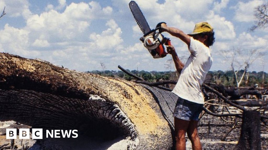 Is the Amazon facing new dangers?