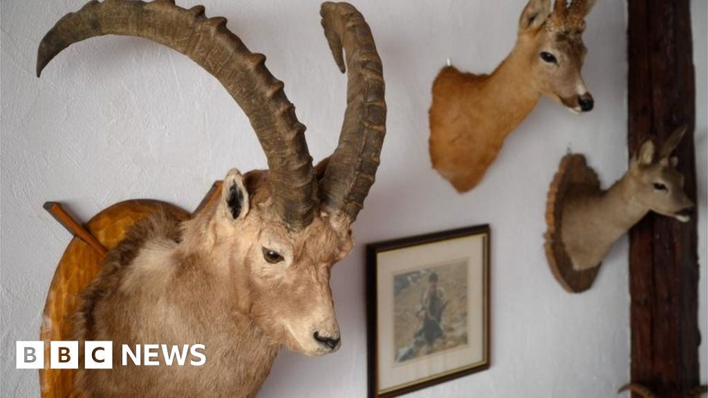 Government extends consultation on hunting trophy ban