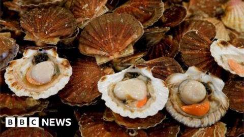 Bottom trawling ban for key UK fishing sites