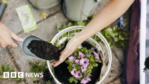 How would a peat-based compost ban affect Scotland? How would a peat-based compost ban affect Scotland?