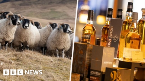 Trade Down Under: no worries, mate? Trade Down Under: no worries, mate?