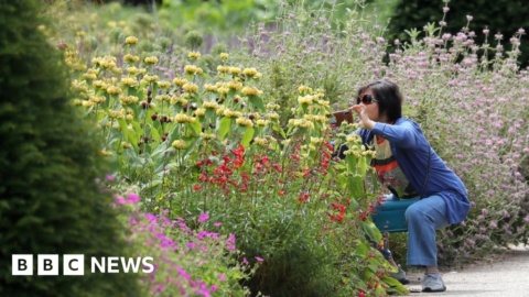 New project researches how gardens can help the environment New project researches how gardens can help the environment
