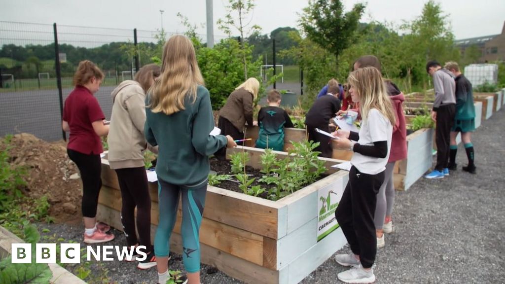 Carmarthenshire school’s zero-carbon secondary bid Carmarthenshire school’s zero-carbon secondary bid