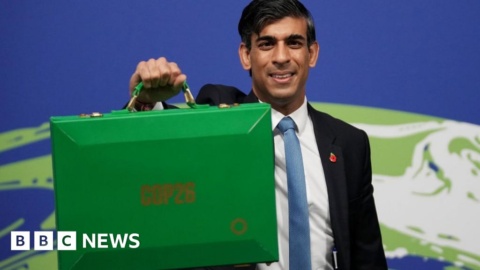 Rishi Sunak criticised for skipping COP27 climate summit