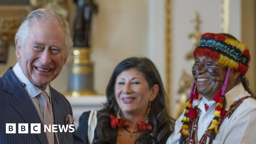 The King co-writes children’s climate change book