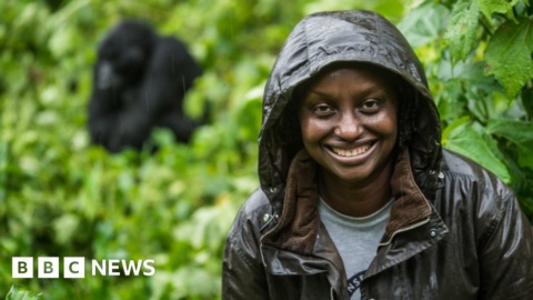 Three women helping wildlife survive