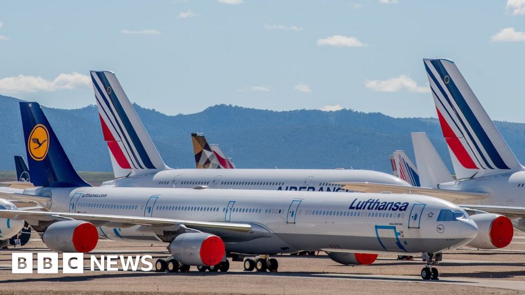 Airline adverts banned over ‘greenwashing’ claims